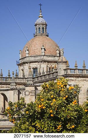 Stock Photo - Dome Of A Cathedral Against A Blue Sky; Jerez De La Frontera Andalusia Spain. Fotosearch