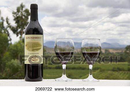 Don Humberto Carmenere Wine Bottle And Glasses, Calamuchita, Tarija, Bolivia View Large Photo Image Stock Image - Don Humberto Carmenere Wine Bottle And Glasses, Calamuchita, Tarija, Bolivia. Fotosearch