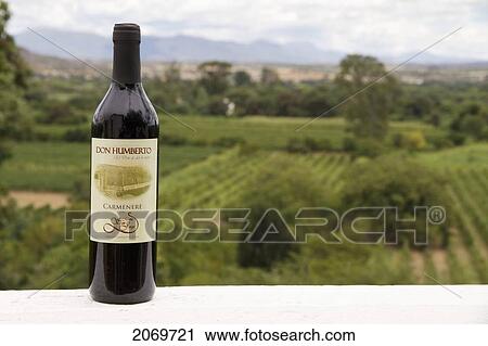 Stock Image - Don Humberto Carmenere Wine Bottle, Calamuchita, Tarija, Bolivia. Fotosearch