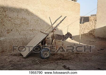 Stock Image - Donkey Cart In Front Of The Traditional Sudanese Architecture In Djenne, Mali. Fotosearch