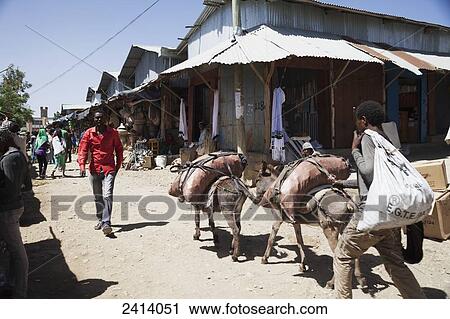 Stock Image - Donkeys carrying goods into local market; Mekele, Tigray region, Ethiopia. Fotosearch