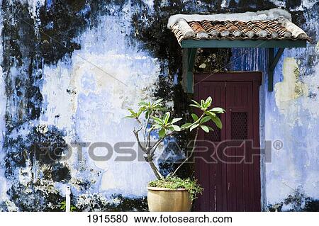 Stock Image - Doorway With Tiled Roof And Plant. Fotosearch