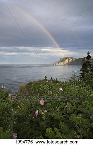 Stock Photograph - Double Rainbow On A Seaside Cliff; Quebec Canada. Fotosearch