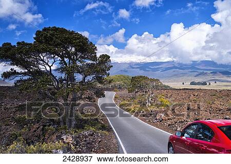 Stock Photo - Down Mauna Loa road to exit with Mauna Kea in background; Big Island, Hawaii, United States of America. Fotosearch