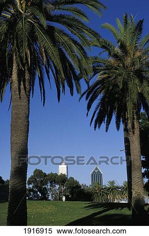 Stock Photography - Downtown Perth From Kings Park. Fotosearch