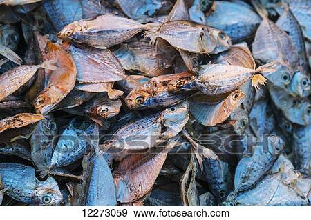 Stock Photo - Dried fish for sale at the Bolu market, Rantepao, Toraja Land, South Sulawesi, Indonesia. Fotosearch