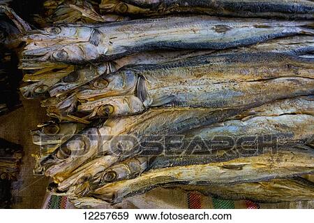 Stock Photo - Dried fish for sale at the market; Timor-Leste. Fotosearch