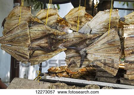 Dried fish for sale, Makassar (Ujung Pandang), South Sulawesi, Indonesia View Large Photo Image Stock Photo - Dried fish for sale, Makassar (Ujung Pandang), South Sulawesi, Indonesia. Fotosearch