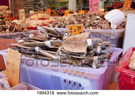Dried Reptiles For Sale At A Chinese Traditional Medicine And Herb Store In Chinatown, Vancouver, British Columbia, Canada View Large Photo Image Stock Photo - Dried Reptiles For Sale At A Chinese Traditional Medicine And Herb Store In Chinatown, Vancouver, British Columbia, Canada. Fotosearch