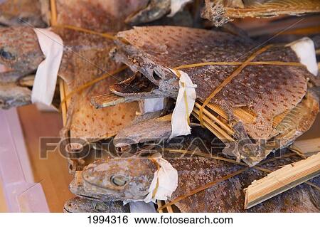 Stock Photograph - Dried Reptiles For Sale At A Chinese Traditional Medicine And Herb Store In Chinatown, Vancouver, British Columbia, Canada. Fotosearch