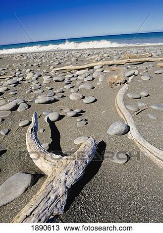 Stock Image - Drift Wood And Pebbles On Beach. Fotosearch