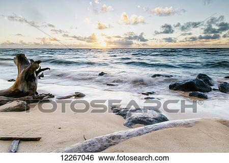 Driftwood and rocks around Wailua after sunrise; Wailua, Kauai, Hawaii, United States of America View Large Photo Image Stock Photograph - Driftwood and rocks around Wailua after sunrise; Wailua, Kauai, Hawaii, United States of America. Fotosearch