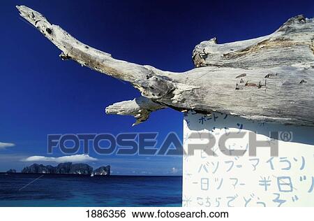 Driftwood Sign On Tropical Beach View Large Photo Image Stock Photograph - Driftwood Sign On Tropical Beach. Fotosearch