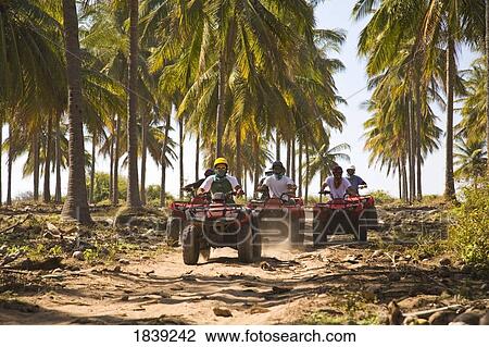 Drivers On Quadbikes Taking Part In Atv Tour; Stone Island, Mazatlan, Sinaloa, Mexico View Large Photo Image Stock Image - Drivers On Quadbikes Taking Part In Atv Tour; Stone Island, Mazatlan, Sinaloa, Mexico. Fotosearch