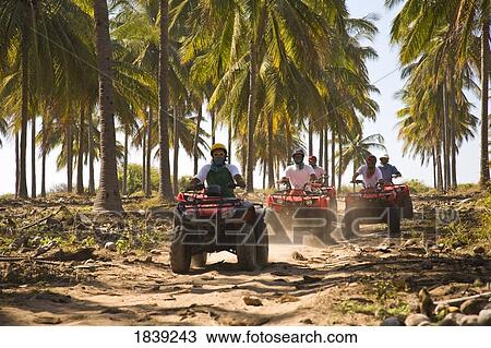 Drivers On Quadbikes Taking Part In Atv Tour; Stone Island, Mazatlan, Sinaloa, Mexico View Large Photo Image Stock Image - Drivers On Quadbikes Taking Part In Atv Tour; Stone Island, Mazatlan, Sinaloa, Mexico. Fotosearch