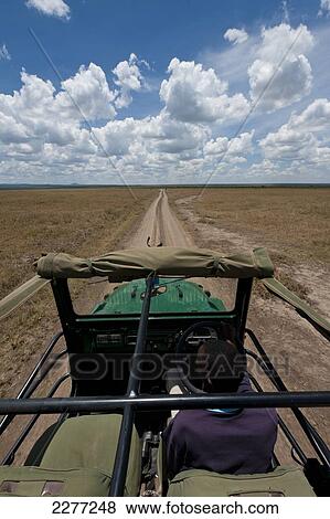 Driving on flat road on grassy plain, Ol Pejeta Conservancy; Kenya View Large Photo Image Stock Photo - Driving on flat road on grassy plain, Ol Pejeta Conservancy; Kenya. Fotosearch