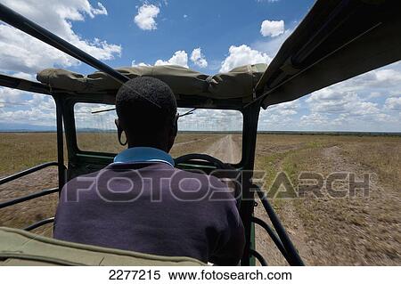 Driving on flat road on grassy plain, Ol Pejeta Conservancy; Kenya View Large Photo Image Stock Photography - Driving on flat road on grassy plain, Ol Pejeta Conservancy; Kenya. Fotosearch