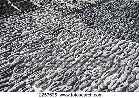 Stock Photography - Drying Sea cucumbers; Nuku alofa, Tongatapu, Tonga. Fotosearch