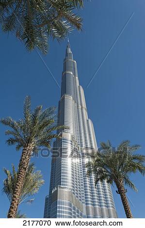 Stock Image - Dubai, Uaedate Palms And The Burj Khalifa. Fotosearch