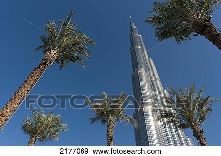 Stock Photo - Dubai, Uaedate Palms And The Burj Khalifa. Fotosearch