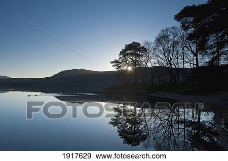 Stock Photo - Ducks Swimming Across Calm Waters Of Derwent Water At Dawn. Fotosearch