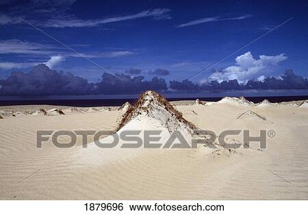 Stock Photograph - Dunes. Fotosearch