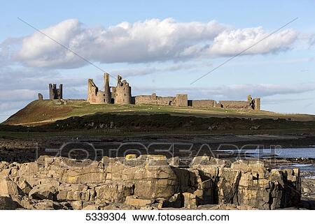 Picture - Dunstanburgh Castle with sheep grazing on the grass; Dunstanburgh, Northumberland, England. Fotosearch