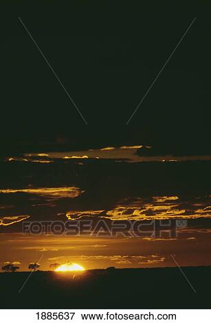 Stock Photo - Dusk On African Savannah. Fotosearch