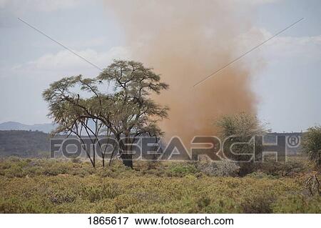 Dust Devil, Samburu National Reserve, Kenya, Africa View Large Photo Image Stock Photo - Dust Devil, Samburu National Reserve, Kenya, Africa. Fotosearch