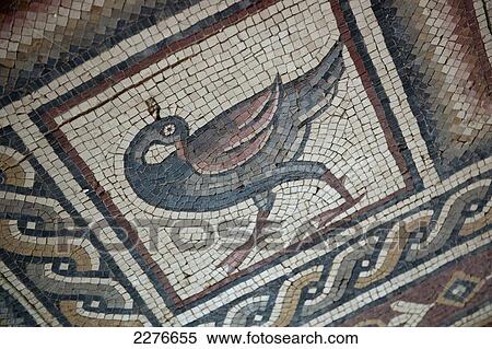 Stock Photography - Early Christian mosaic in the ruins of the church on Mt Nebo; Jordan. Fotosearch