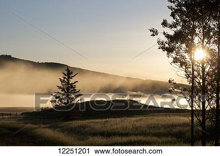 Early morning fog in a field with silhouetted trees and rolling hills and blue sky; Alberta, Canada View Large Photo Image Stock Image - Early morning fog in a field with silhouetted trees and rolling hills and blue sky; Alberta, Canada. Fotosearch
