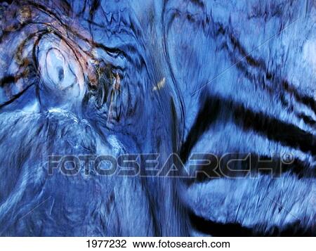 Stock Image - Earth Maker, Massachusetts, Seekonk, Caratunk Wildlife Refuge, Water Patterns, Reflections And Leaves.. Fotosearch