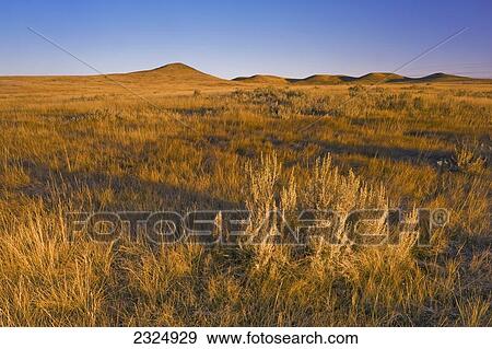 Stock Photo - East Block in Grasslands National Park; Saskatchewan, Canada. Fotosearch