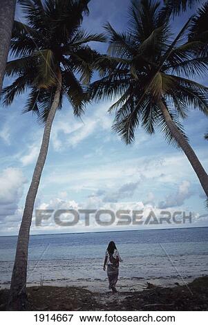 East Coast Beach View Large Photo Image Stock Photo - East Coast Beach. Fotosearch