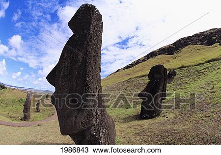 Stock Image - Easter Island, Close-up of Moai statue on grassy hillside; Rano Raraku Area. Fotosearch