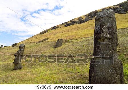 Stock Photo - Easter Island, Rano Raraku Area, Moai Statues On Grassy Hillside.. Fotosearch