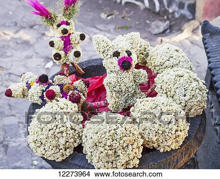 Picture - Edelweiss (Leontopodium alpinum) bouquets, Bromo Tengger Semeru National Park, East Java, Indonesia. Fotosearch