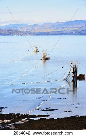 Stock Image - Eel Fishery In The St. Lawrence River With Mountains Of Charlevoix Region In The Background, Bas-Saint-Laurent Region, Saint-Denis, Quebec. Fotosearch