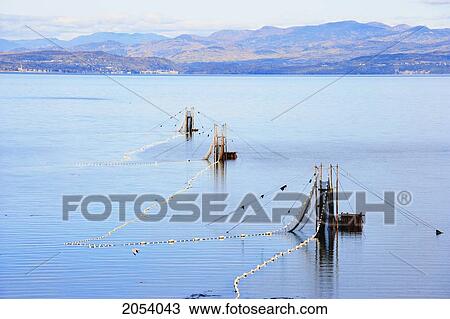 Stock Image - Eel Fishery In The St. Lawrence River With Mountains Of Charlevoix Region In The Background, Bas-Saint-Laurent Region, Saint-Denis, Quebec. Fotosearch