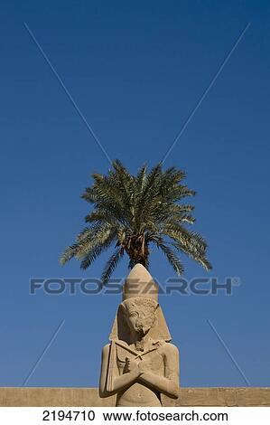Stock Image - Egypt, Karnak Temple; Luxor, Precinct of Amun, Colossus of Ramses II in front of date palm in the forecourt of the Shadow of date palm in forecourt. Fotosearch