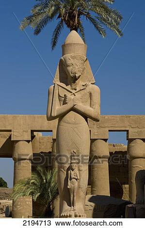 Stock Image - Egypt, Karnak Temple; Luxor, Precinct of Amun, Colossus of Ramses II in front of date palm in the forecourt of the Shadow of date palm in forecourt. Fotosearch