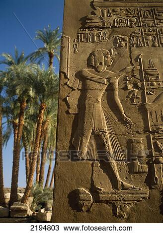 Egypt, Reliefs on walls of Great Hypostyle Hall of Temple of Amun or Karnak with date palms behind; Luxor View Large Photo Image Stock Image - Egypt, Reliefs on walls of Great Hypostyle Hall of Temple of Amun or Karnak with date palms behind; Luxor. Fotosearch