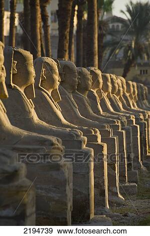 Stock Photo - Egypt, The Avenue of Sphinxes in front of Luxor Temple; Luxor. Fotosearch