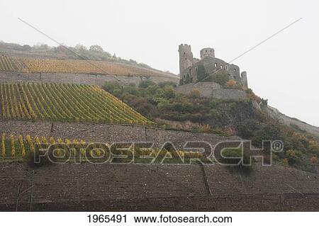 Stock Image - Ehrenfels Castle, As Seen From The Rhine River, Rhineland-Palatinate, Germany. Fotosearch
