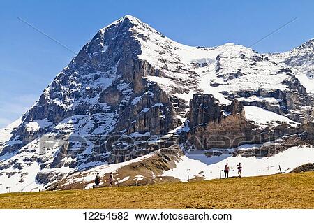 Eiger, North wall; Bernese Oberland, Switzerland View Large Photo Image Stock Image - Eiger, North wall; Bernese Oberland, Switzerland. Fotosearch