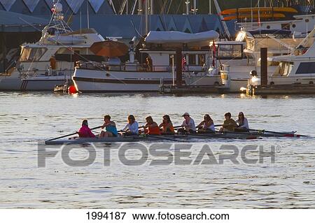 Eight Women In A Racing Boat, Vancouver, British Columbia, Canada View Large Photo Image Stock Photo - Eight Women In A Racing Boat, Vancouver, British Columbia, Canada. Fotosearch