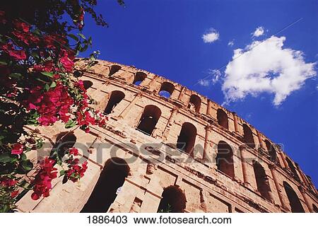 El Jem Coliseum And Flowers View Large Photo Image Stock Image - El Jem Coliseum And Flowers. Fotosearch