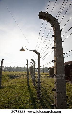 Electrified Barbed Wire Fence Separating Sections Of The Auschwitz-Birkenau Concentration Camp, Oswiecim, Malopolska, Poland View Large Photo Image Stock Image - Electrified Barbed Wire Fence Separating Sections Of The Auschwitz-Birkenau Concentration Camp, Oswiecim, Malopolska, Poland. Fotosearch