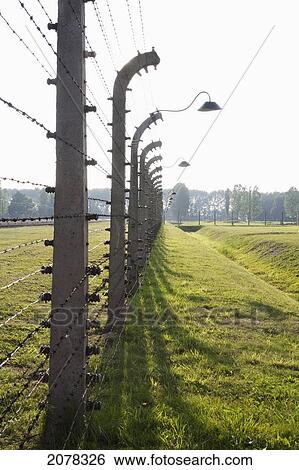 Electrified Barbed Wire Fence Separating Sections Of The Auschwitz-Birkenau Concentration Camp, Oswiecim, Malopolska, Poland View Large Photo Image Stock Photograph - Electrified Barbed Wire Fence Separating Sections Of The Auschwitz-Birkenau Concentration Camp, Oswiecim, Malopolska, Poland. Fotosearch