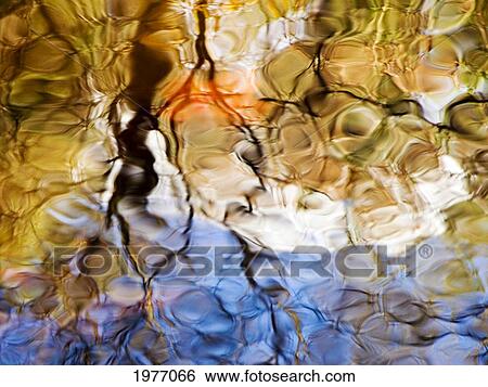 Elementals, Massachusetts, Seekonk, Caratunk Wildlife Refuge, Colorful Glassy Reflections On Water. View Large Photo Image Stock Photograph - Elementals, Massachusetts, Seekonk, Caratunk Wildlife Refuge, Colorful Glassy Reflections On Water.. Fotosearch
